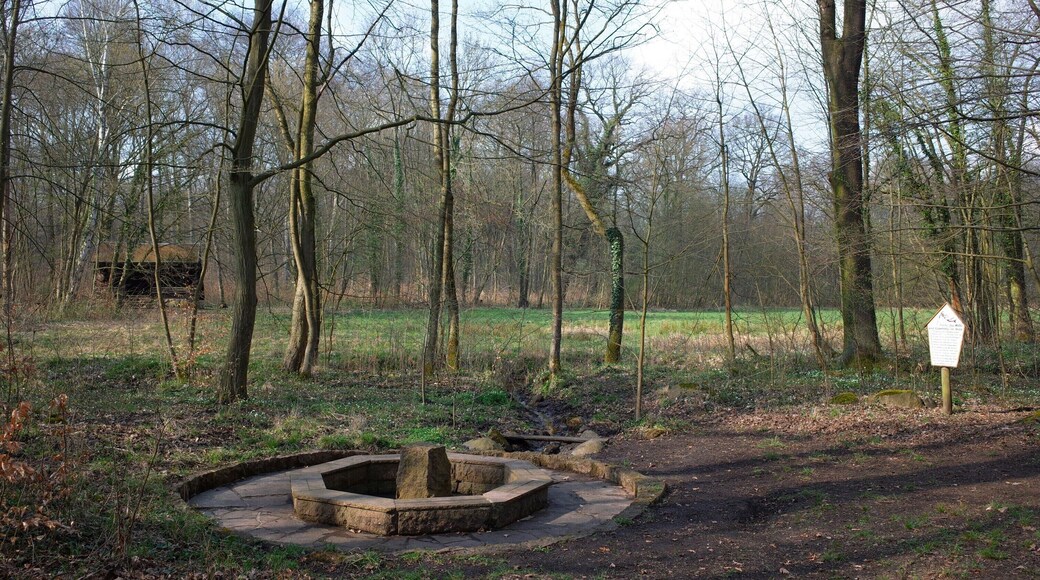 Burgkemnitz, Quelle Gesundbrunnen im gleichnamigen Flächennaturdenkmal (FND).