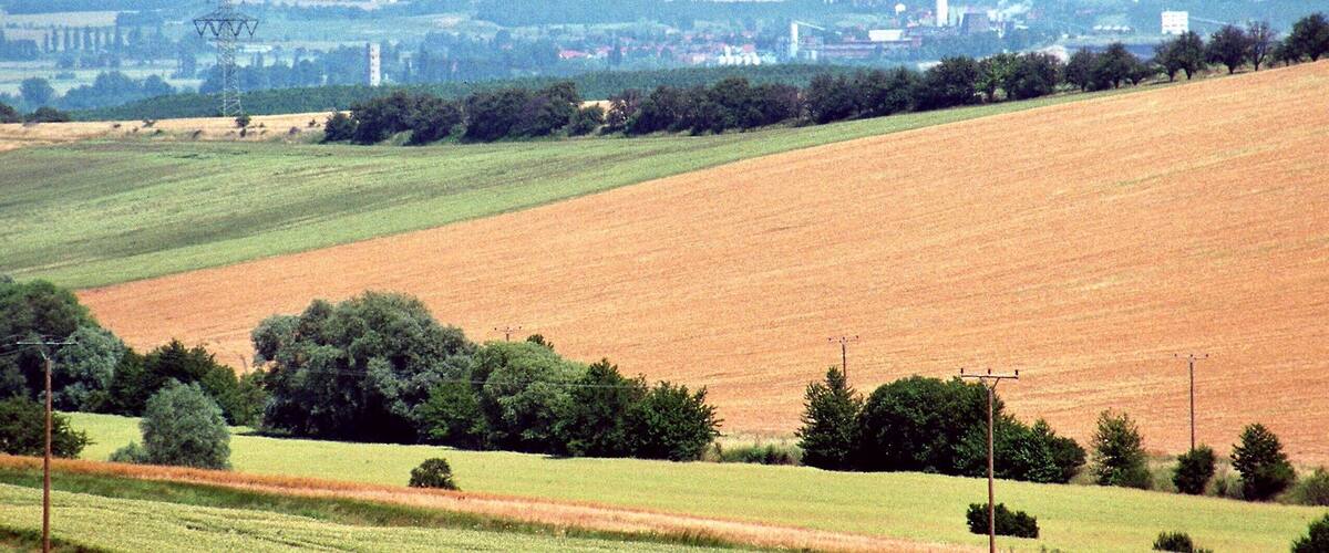 A rural landscape with fields, a hill, and a distant mountain.