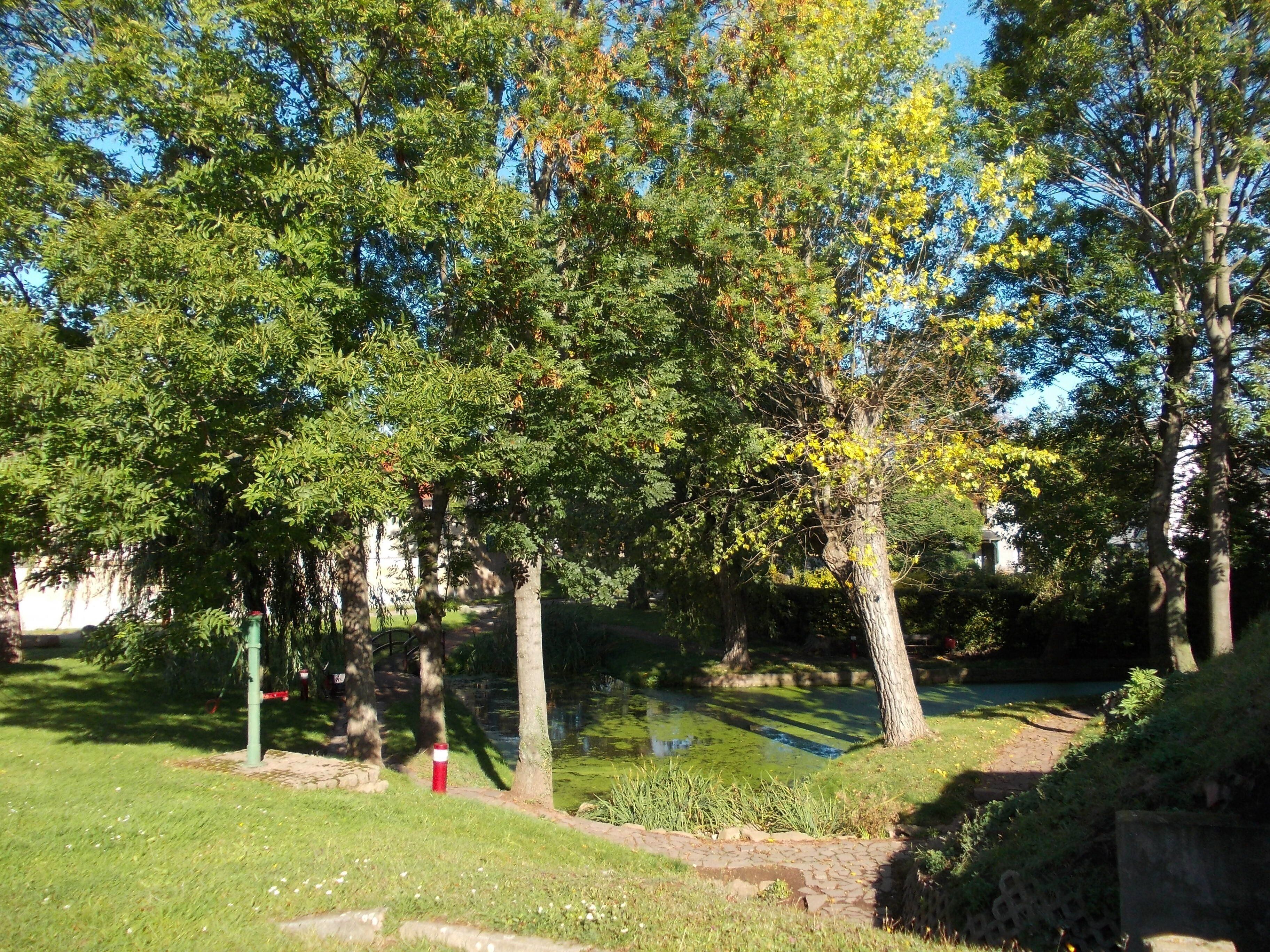 Pond in Garsena (Könnern, district of Salzlandkreis, Saxony-Anhalt)