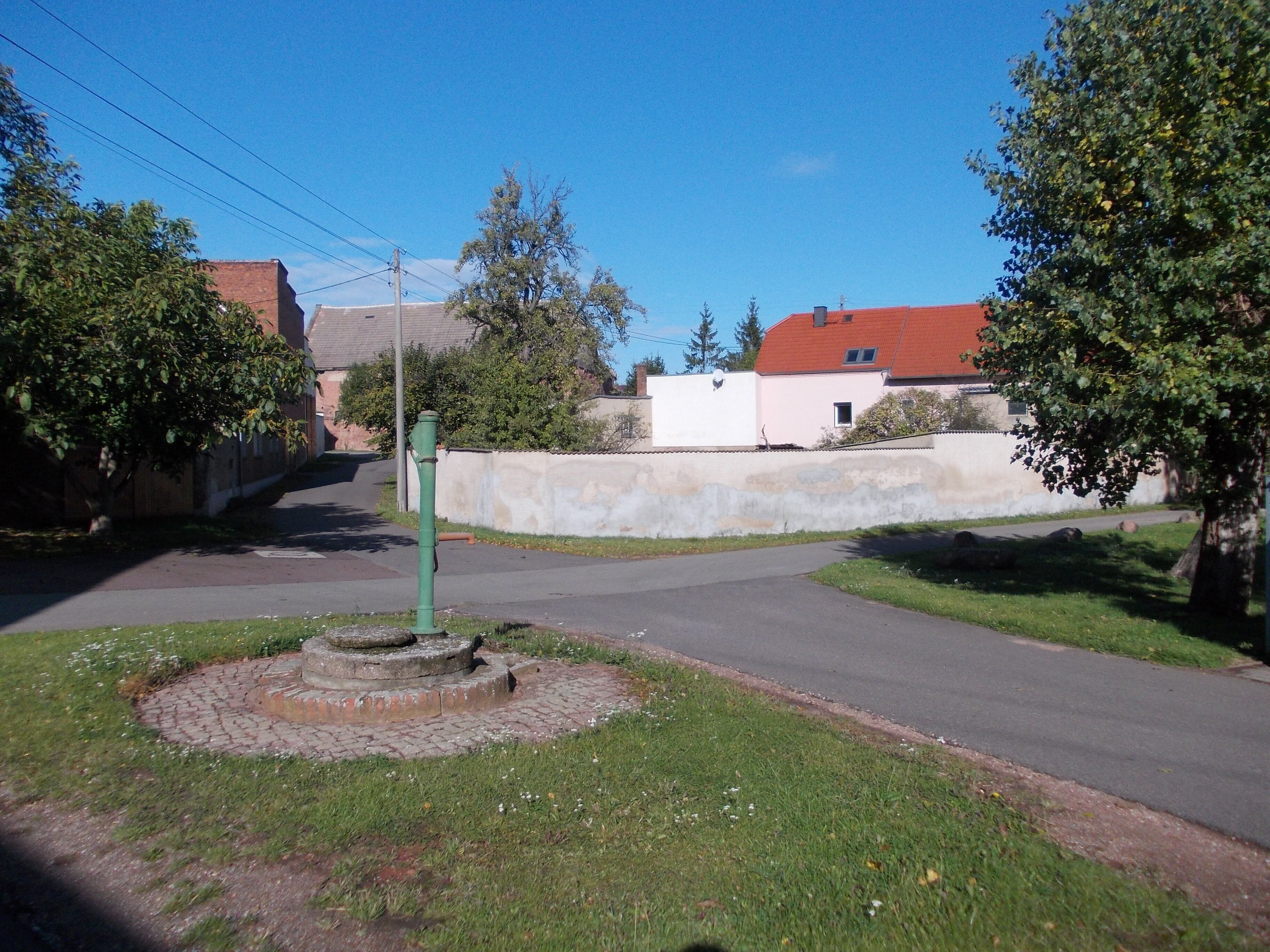 A quiet residential street with a roundabout, houses, and trees.