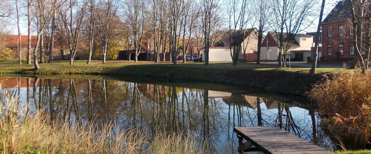 A calm pond with a wooden dock, surrounded by leafless trees and a few buildings in the background.