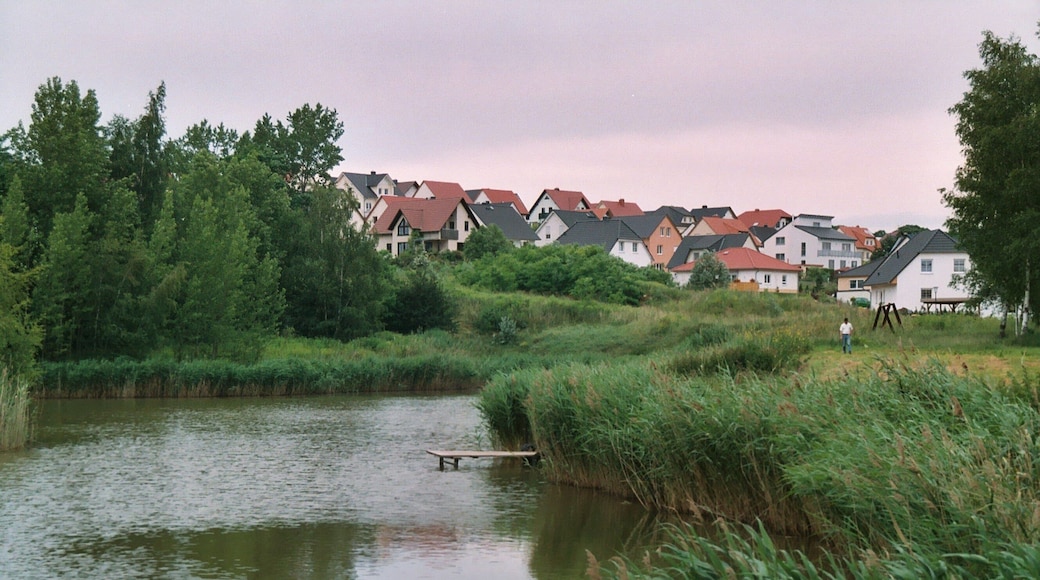 Gutenberg (Petersberg), the pond at the Sennewitzer Straße