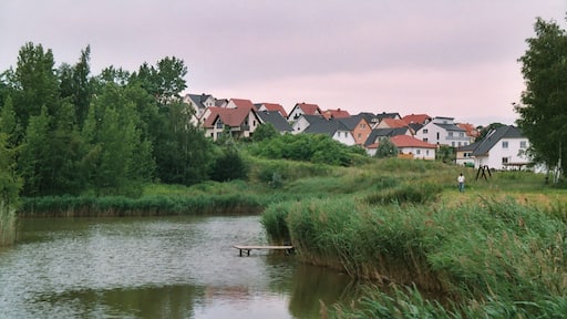 Gutenberg (Petersberg), the pond at the Sennewitzer Straße