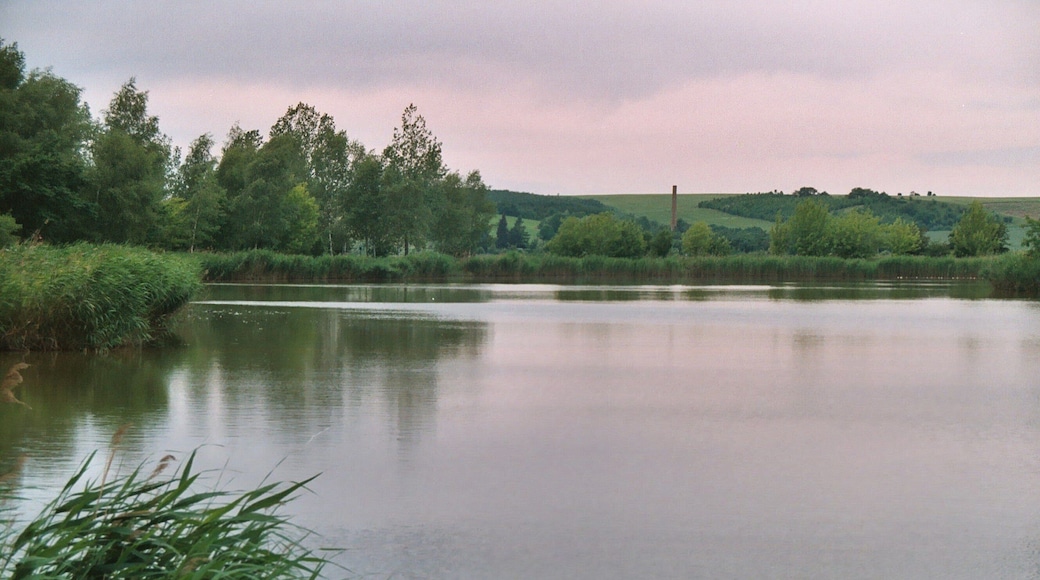 Gutenberg (Petersberg), view from the pond to Sennewitz