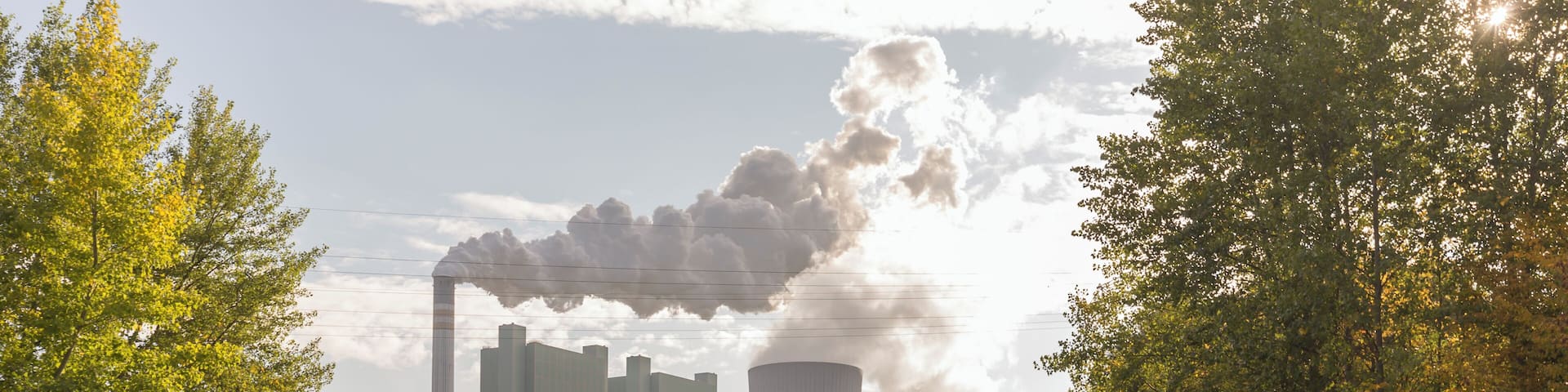 A road flanked by a fence and trees, leading to industrial buildings with smoke stacks.
