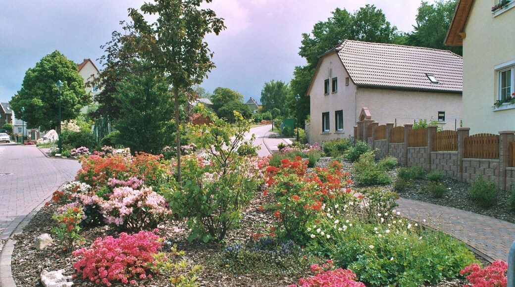 Korbetha (Schkopau), springtime