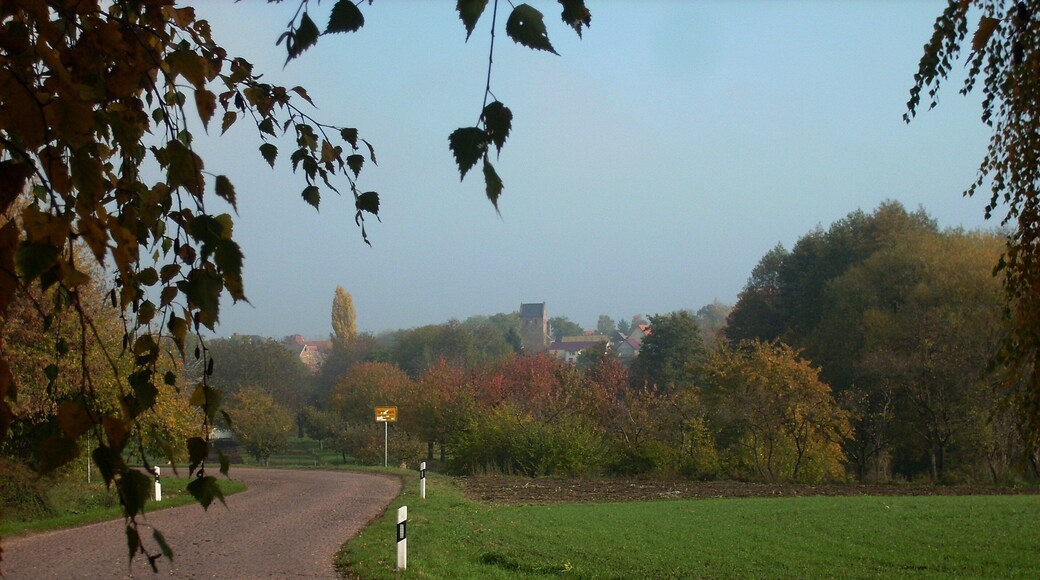 Autumnal landscape near Kaltenmark (Petersberg, district of Saalekreis, Saxony-Anhalt)