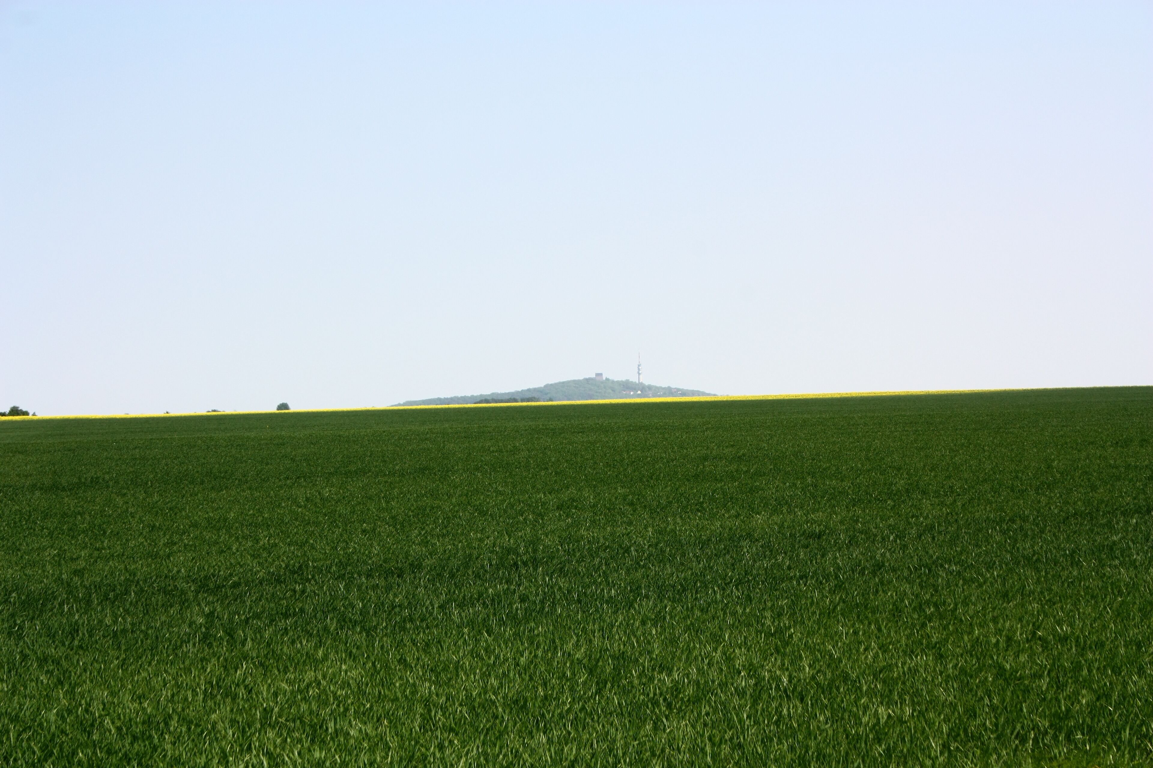 die Spitze des Petersbergs, gesehen vom südlichen Ortsausgang Deutleben