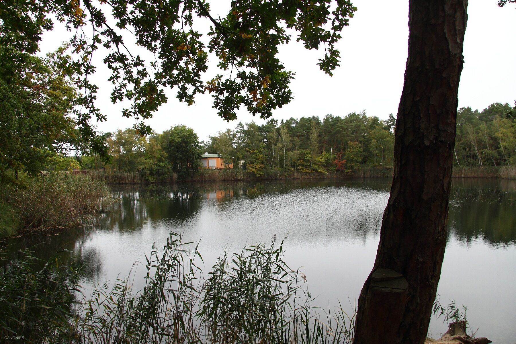 A calm lake surrounded by trees and a small building in the distance.