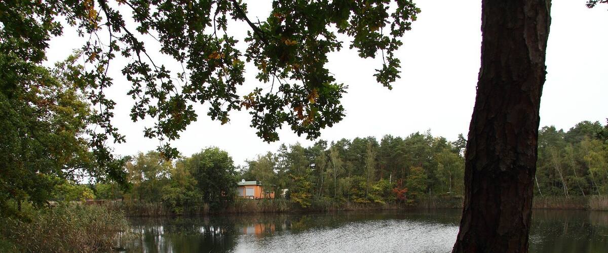 A calm lake surrounded by trees and a small building in the distance.