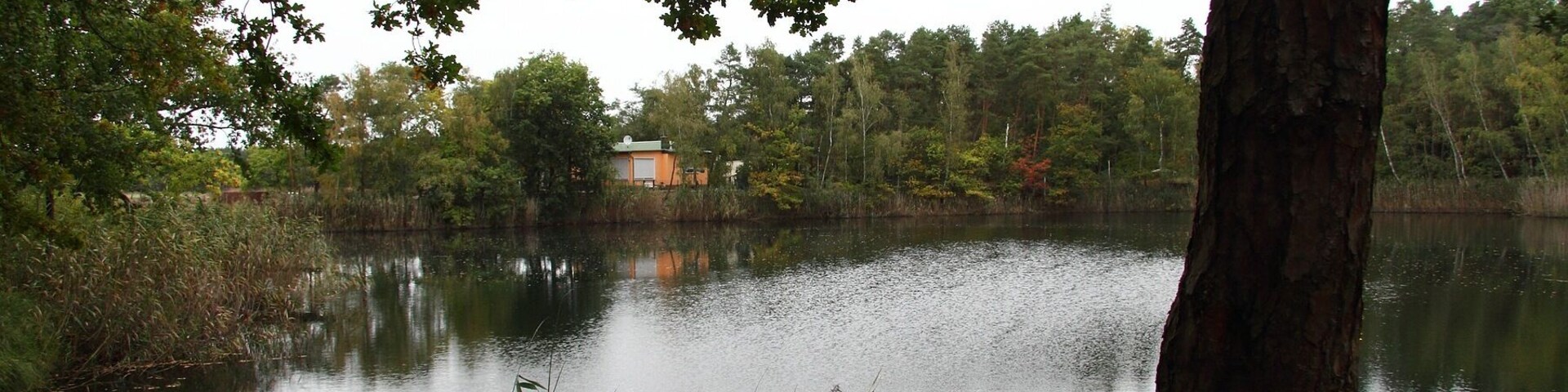 A calm lake surrounded by trees and a small building in the distance.