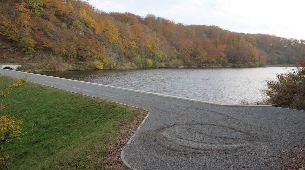 Großer Siebersteinsteich (dam and reservoir in Germany)