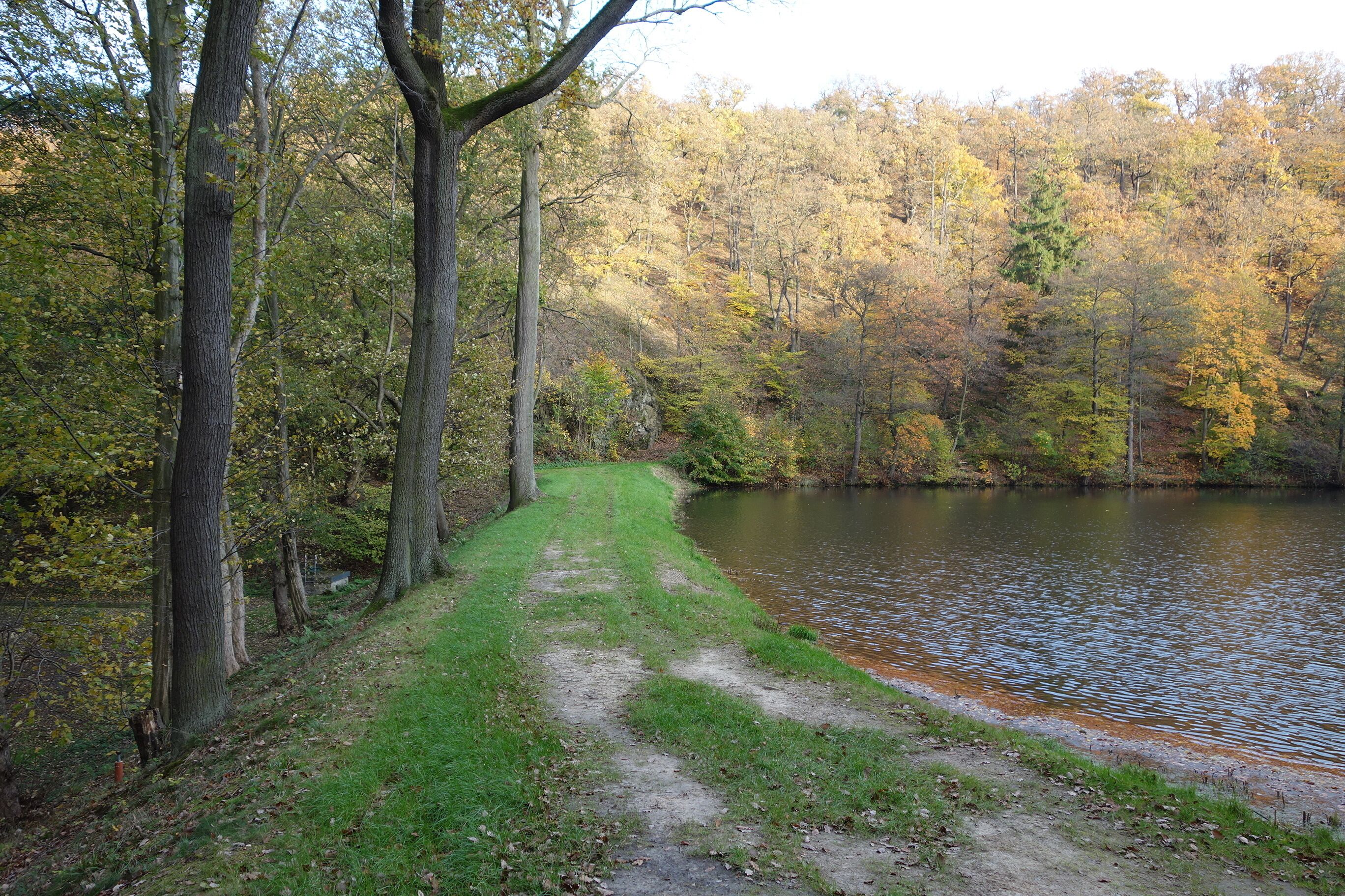 Kleiner Siebersteinsteich, dam and reservoir in Germany
