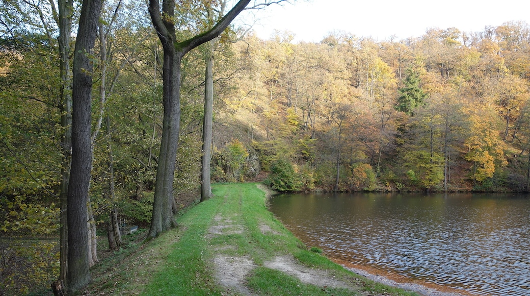 Kleiner Siebersteinsteich, dam and reservoir in Germany