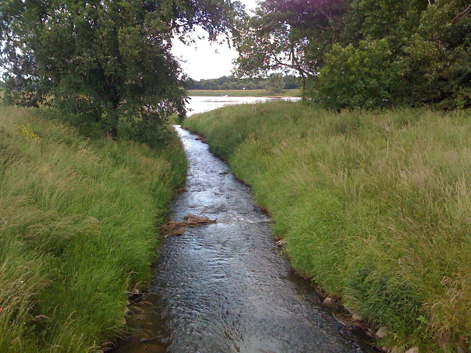 Sülzemündung bei Salbke - alternativ. Elbradwanderweg