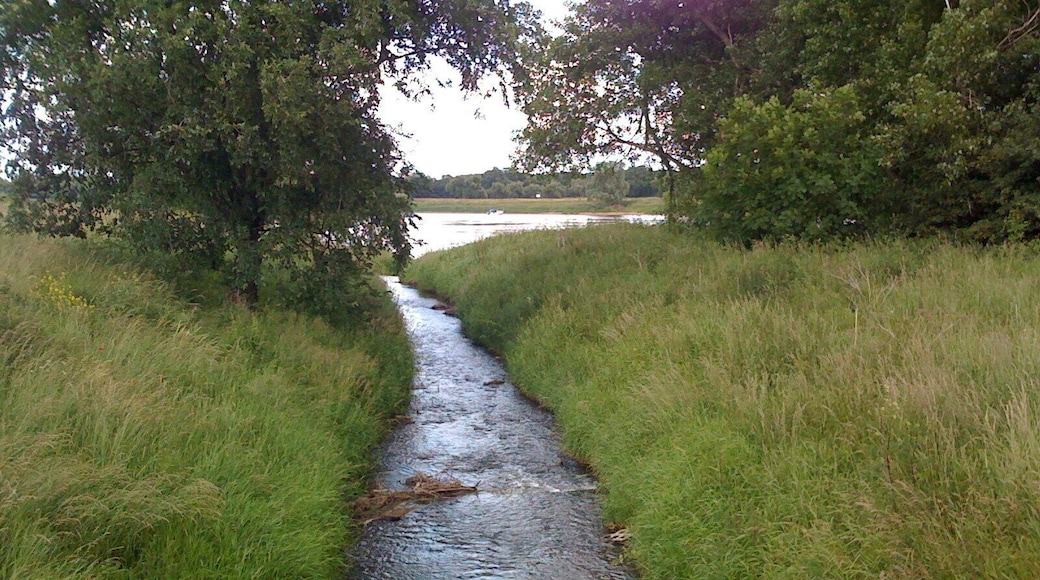 Sülzemündung bei Salbke - alternativ. Elbradwanderweg