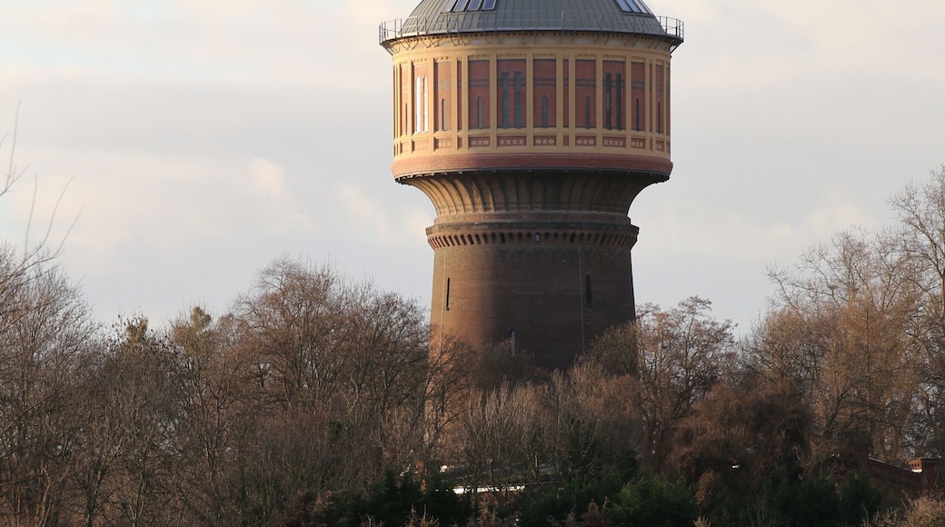 Salbker Wassertum in Magdeburg