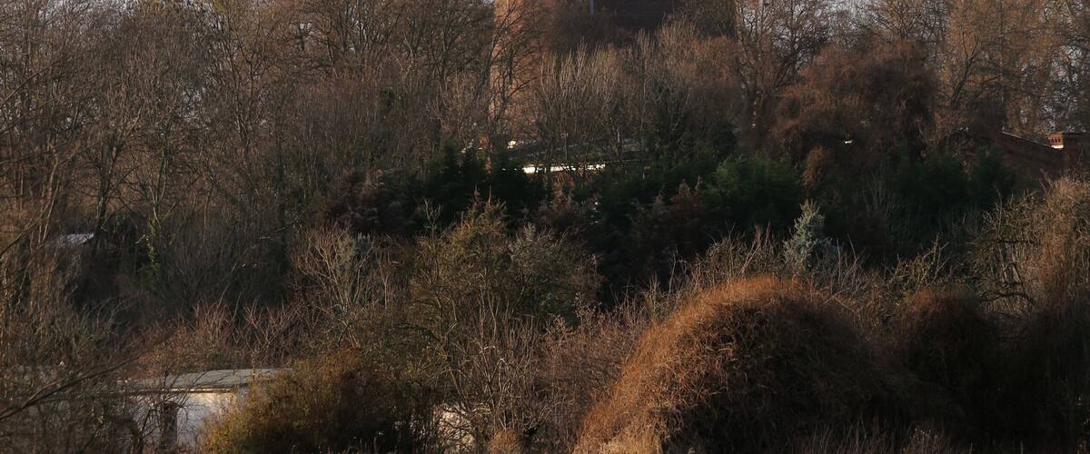 A water tower with a dome and a cylindrical base, surrounded by trees and grass.