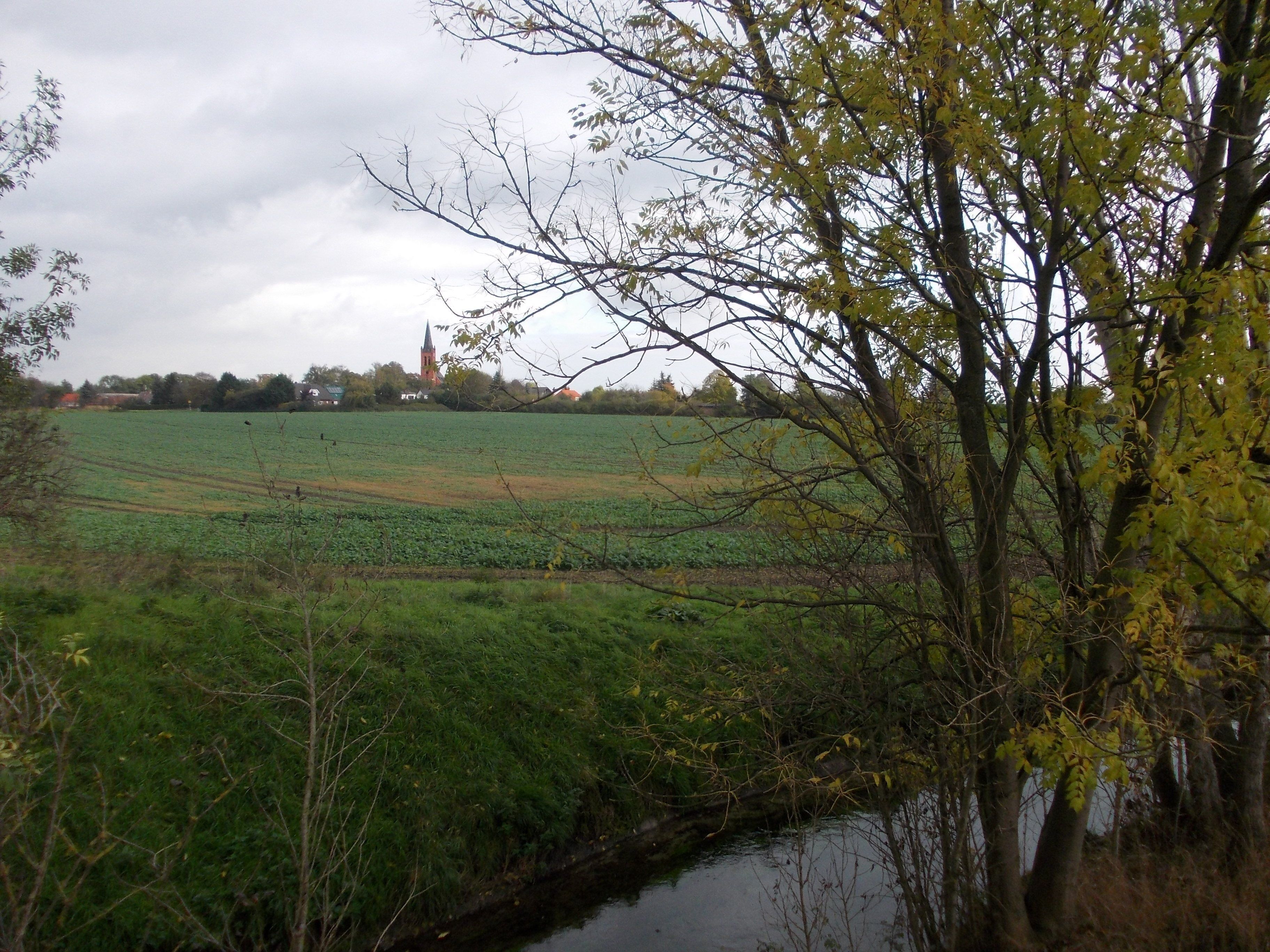 A rural landscape with a field, a church with a steeple, and a tree in the foreground.