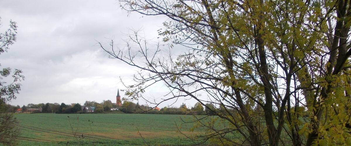 A rural landscape with a field, a church with a steeple, and a tree in the foreground.