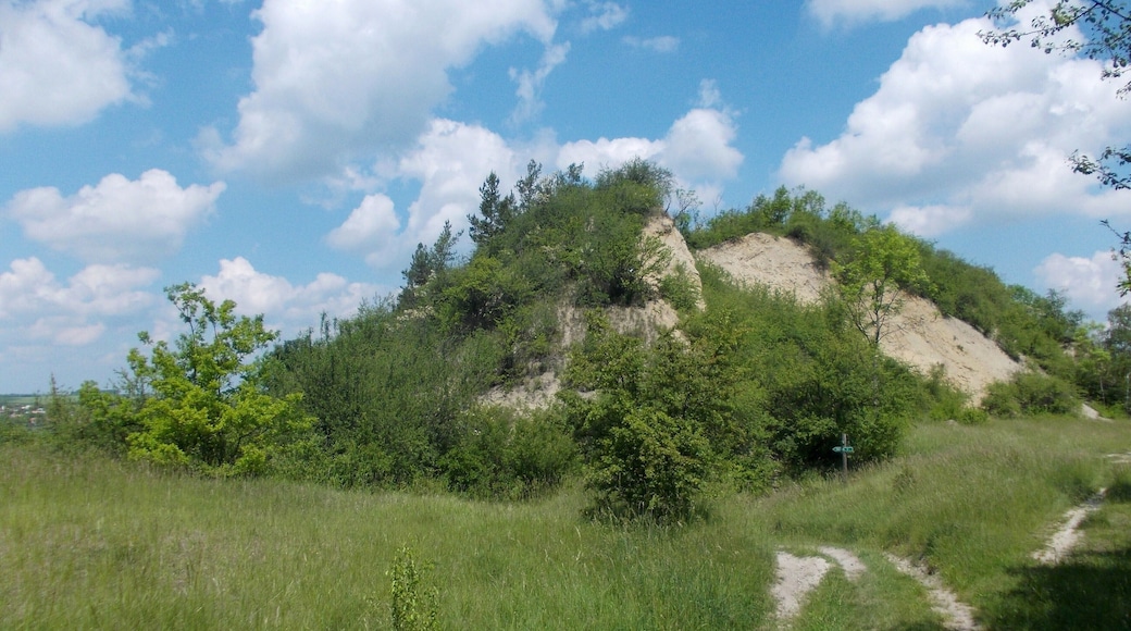 Old limestone quarry near Köllme (Salzatal, district: Saalekreis, Saxony-Anhalt) in the nature reserve "Muschelkalk slopes of the Nietleben-Bennstedt Basin)