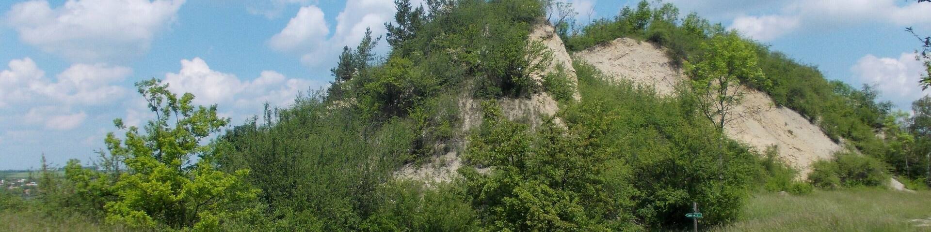 Old limestone quarry near Köllme (Salzatal, district: Saalekreis, Saxony-Anhalt) in the nature reserve "Muschelkalk slopes of the Nietleben-Bennstedt Basin)