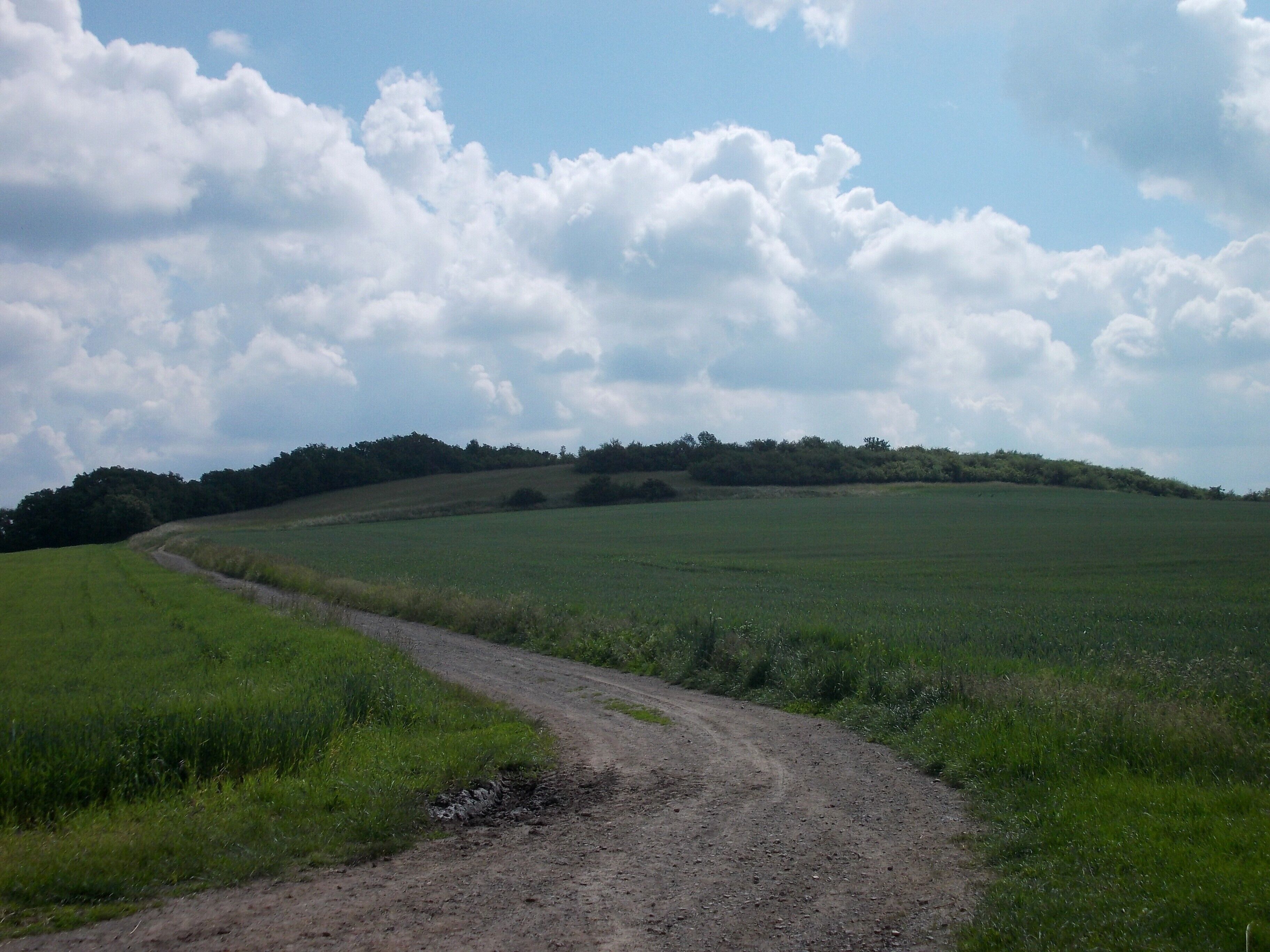Path between the villages of Zappendorf and Köllme (Salzatal, district: Saalekreis, Saxony-Anhalt), n the nature reserve "Salzatal zwischen Langenbogen und Köllme"