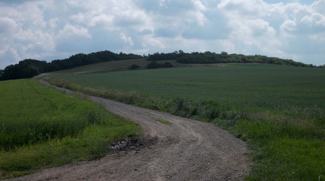 Path between the villages of Zappendorf and Köllme (Salzatal, district: Saalekreis, Saxony-Anhalt), n the nature reserve "Salzatal zwischen Langenbogen und Köllme"