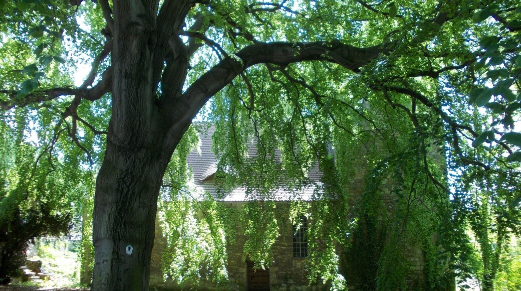 St. Mary's Church in Köllme (Salzatal, district: Saalekreis, Saxony-Anhalt)