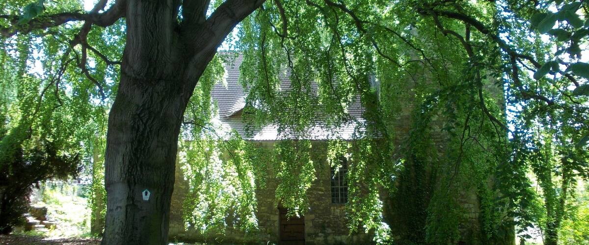 St. Mary's Church in Köllme (Salzatal, district: Saalekreis, Saxony-Anhalt)