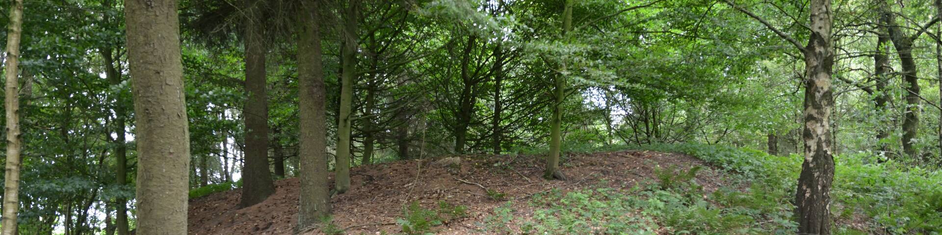 Ein GrabhĂŒgel an der BundesstraĂe 431