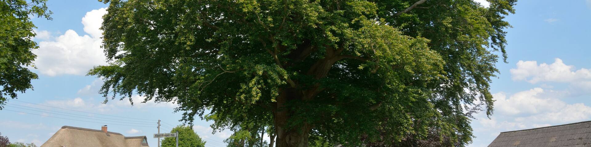 This image was uploaded as part of Wiki Loves Earth 2014.