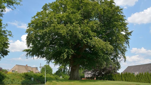 This image was uploaded as part of Wiki Loves Earth 2014.