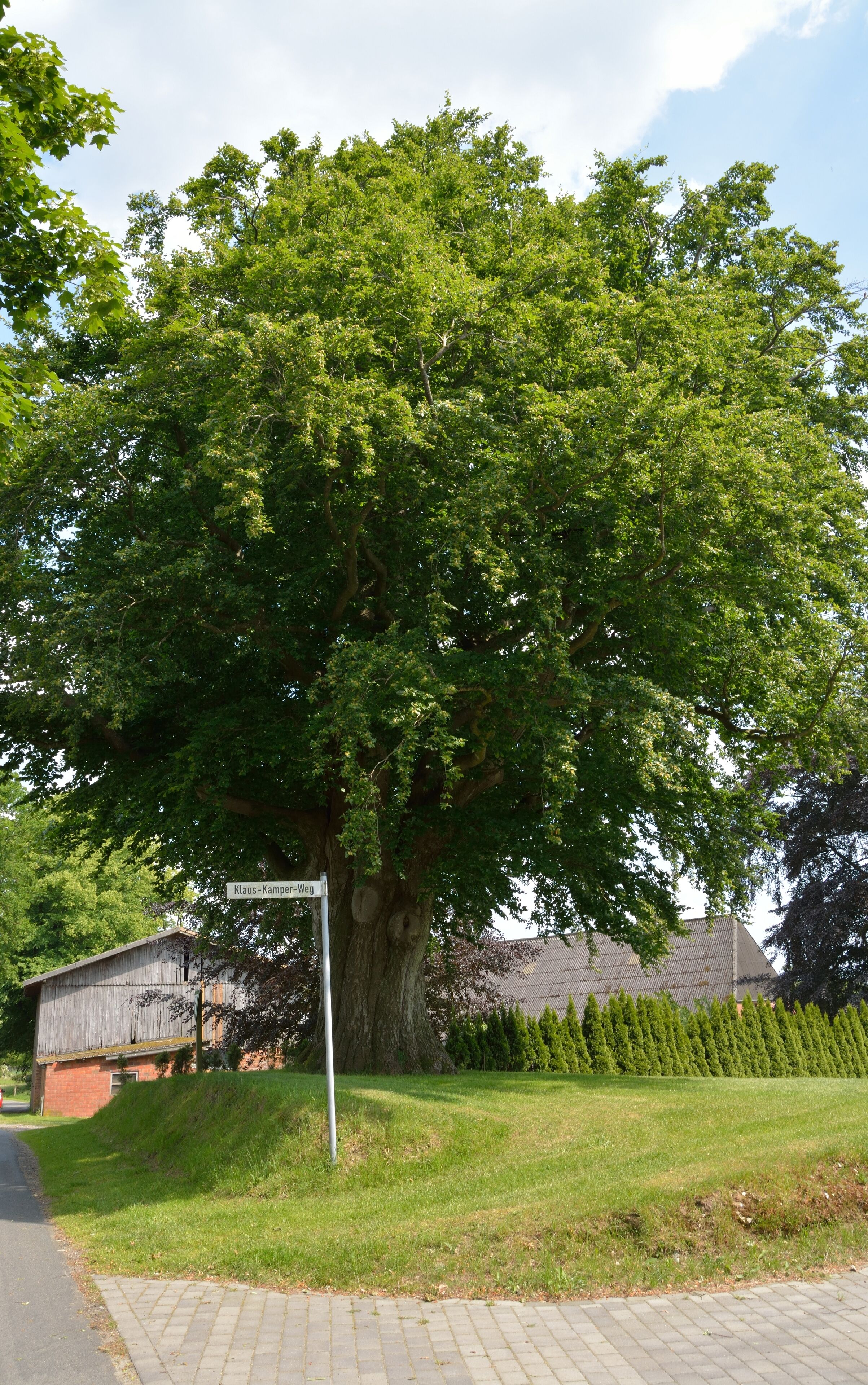 This image was uploaded as part of Wiki Loves Earth 2014.