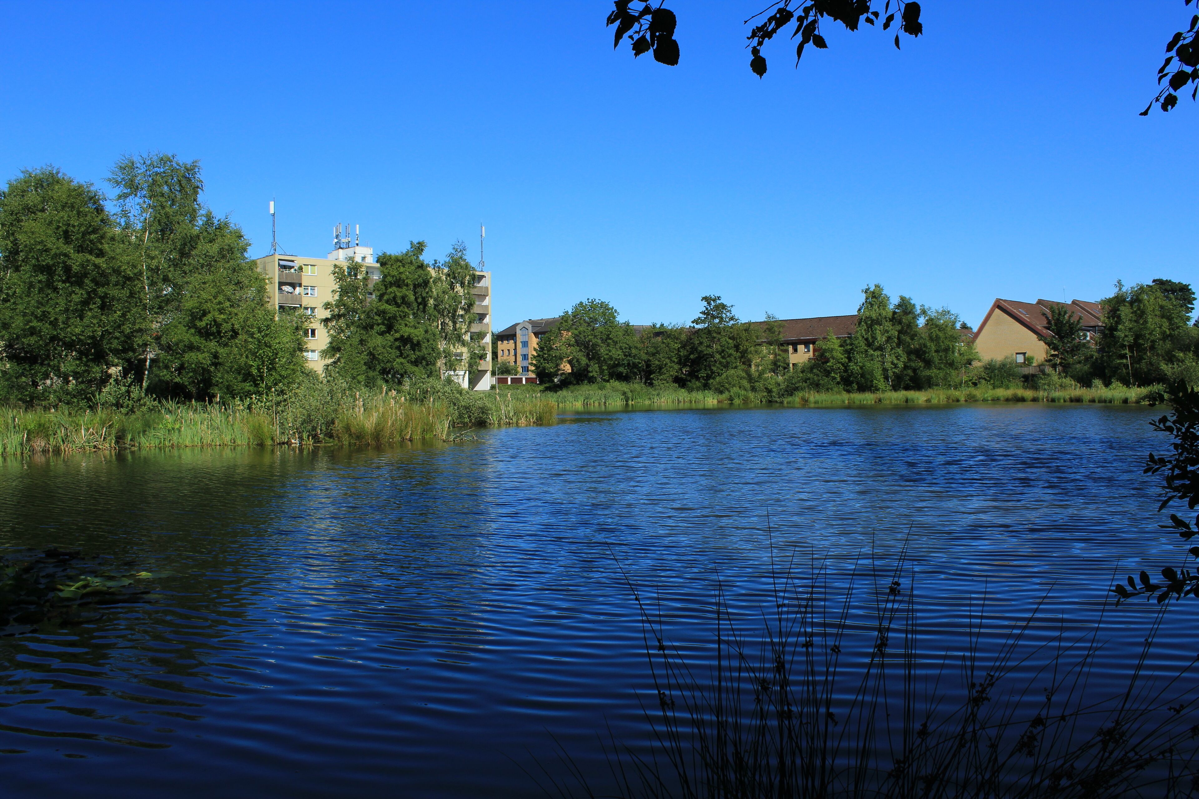 A calm lake with surrounding greenery and buildings.