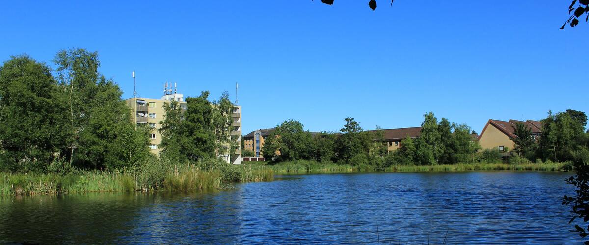 A calm lake with surrounding greenery and buildings.