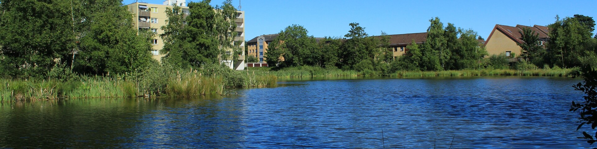 A calm lake with surrounding greenery and buildings.