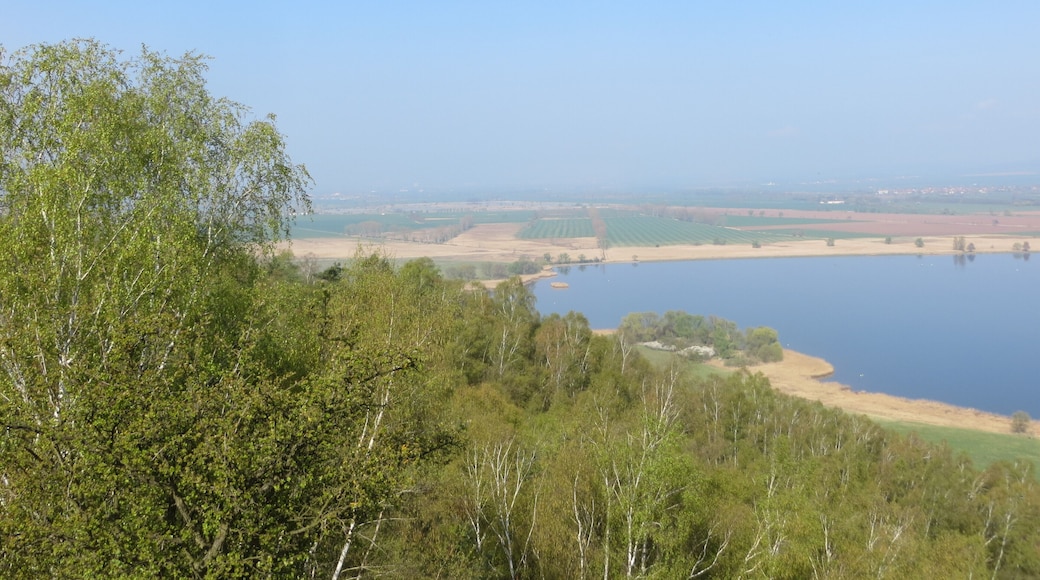 Blick von der Osterkippe zum westlichen Stausee