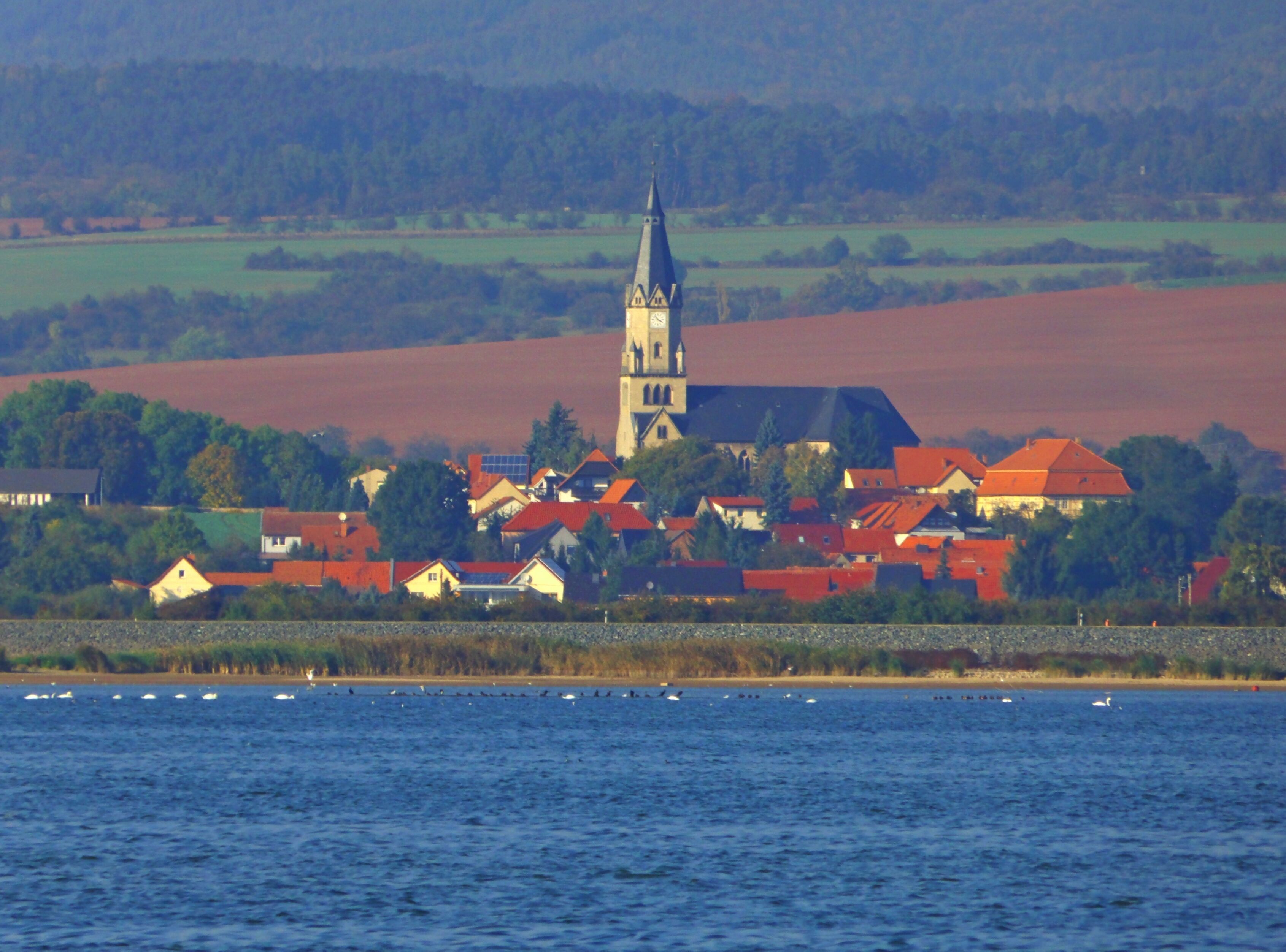 Kelbrastausee