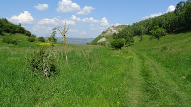 Das Kleine Heutal mit Blick auf den Schlossberg und dem Stausee Kelbra im Hintergrund im Naturschutzgebiet Schlossberg-Solwiesen.