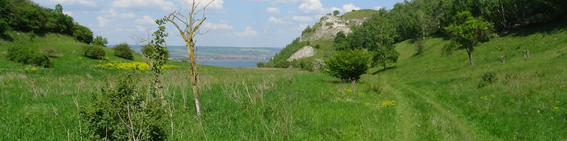 Das Kleine Heutal mit Blick auf den Schlossberg und dem Stausee Kelbra im Hintergrund im Naturschutzgebiet Schlossberg-Solwiesen.