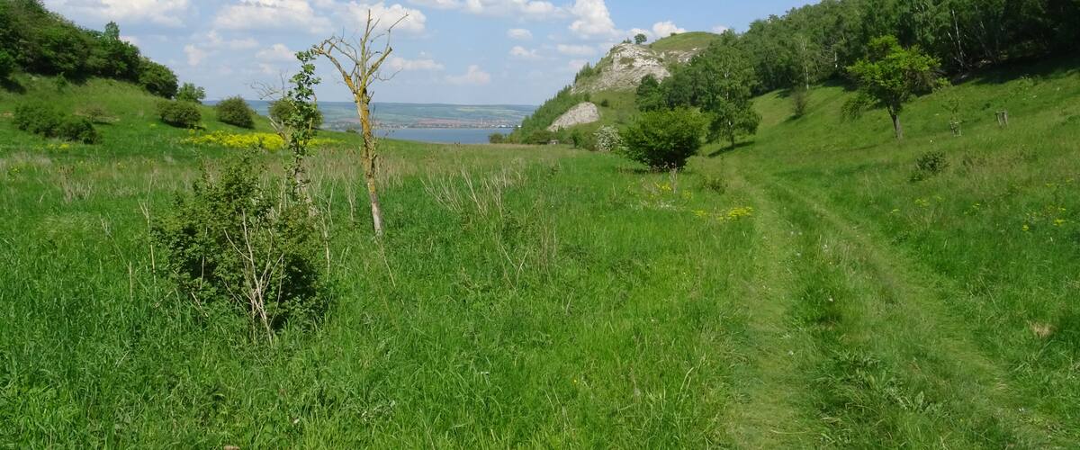 A grassy field with a clear sky, a distant body of water, and a hilly landscape.