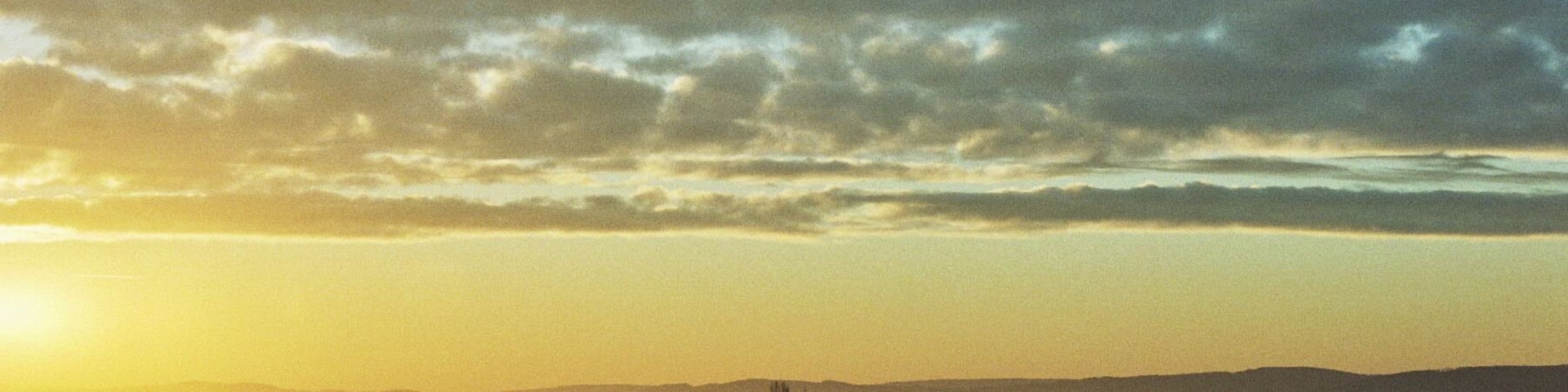 Bielen from the Business Innovation Center of Nordhausen