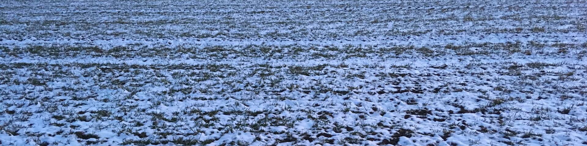 Snow on pasture along the Ilm river between Ehringsdorf and Taubach, Weimar, Germany
