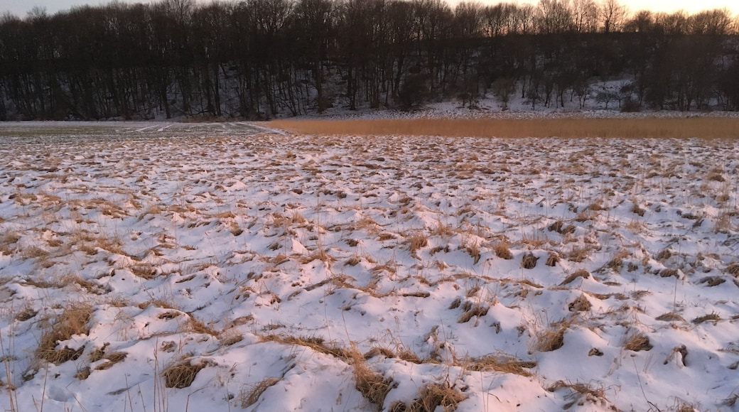 Snow on pasture along the Ilm river between Ehringsdorf and Taubach, Weimar, Germany