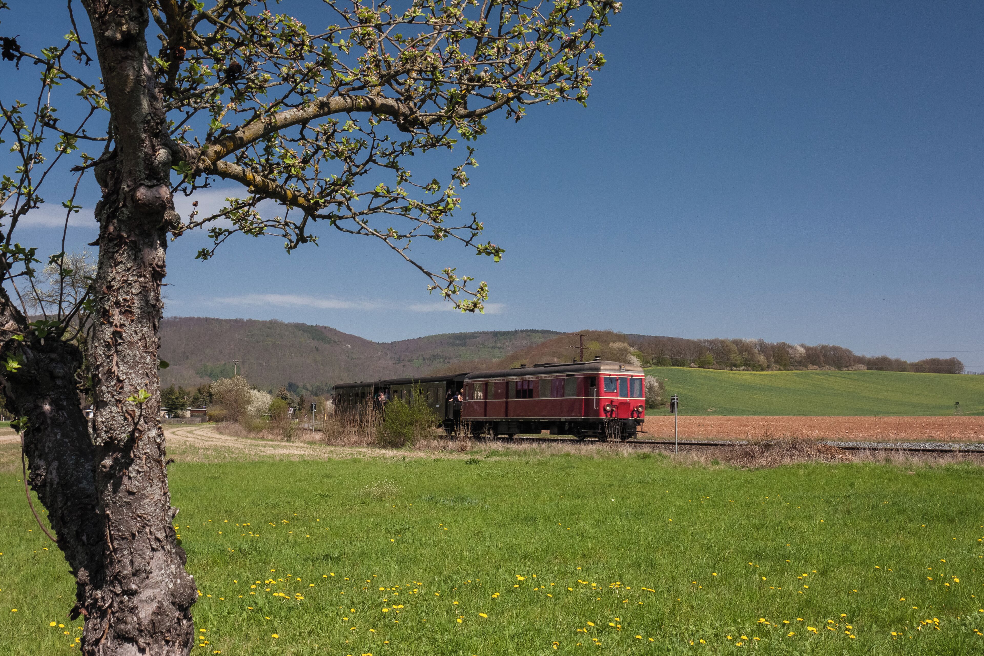 A red train on tracks in a rural area with green fields and a tree in the foreground.