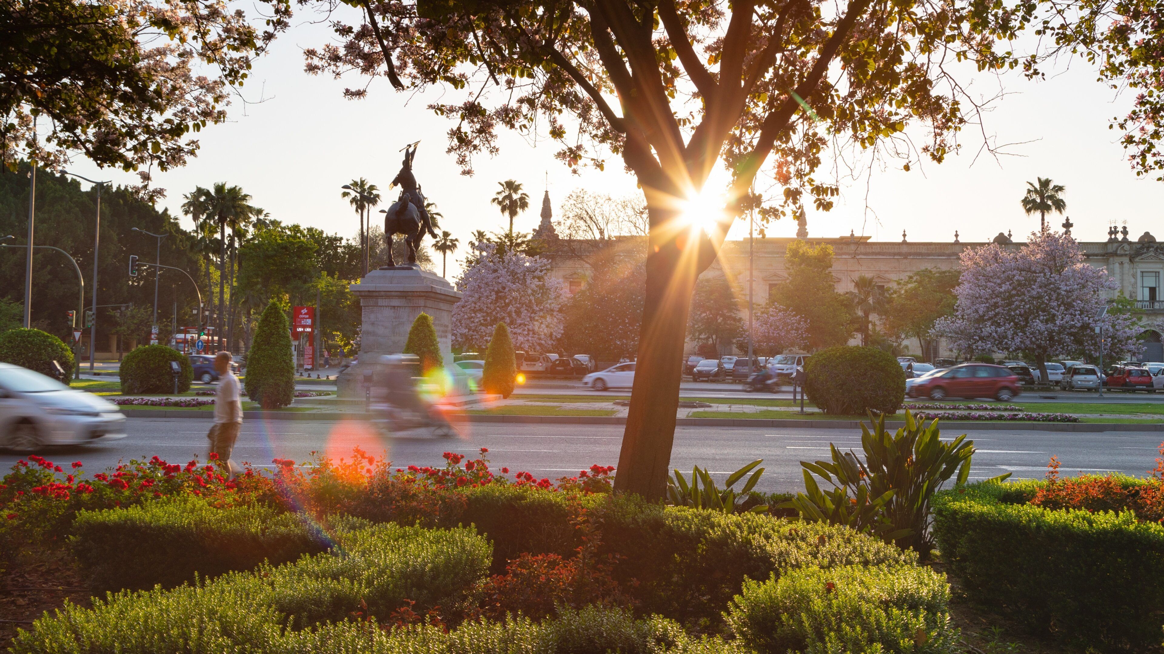 Cerro Del Águila showing a sunset, a garden and wildflowers