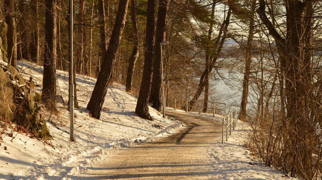 Winter wonderland and snowy landscape in Sundbyberg, (Stockholm), Sweden