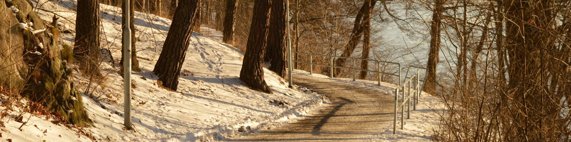 A snow-covered path in a forest with bare trees and a distant body of water.