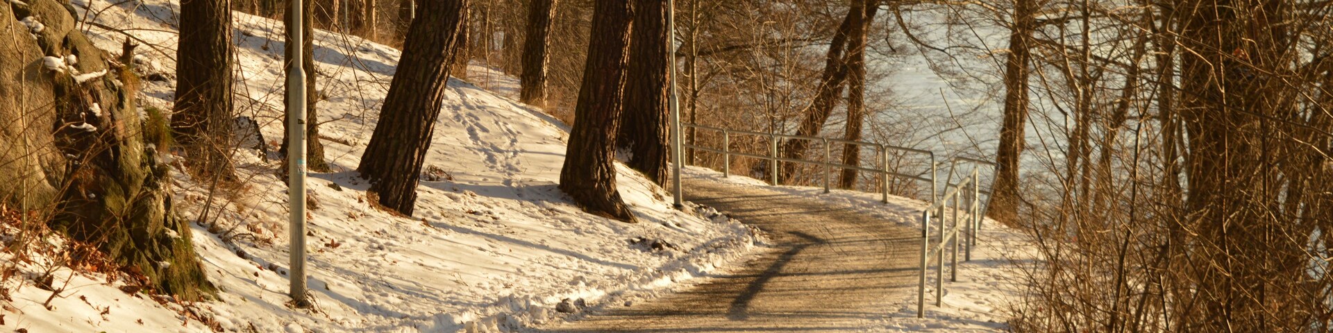 Un sendero cubierto de nieve en un bosque con árboles desnudas y una masa de agua distante.